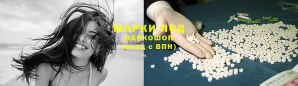 шишки Абаза