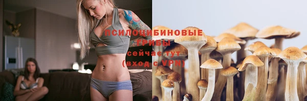 дмт Алзамай