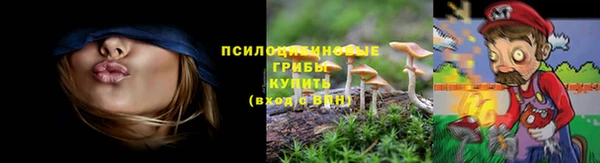 трава Алексеевка